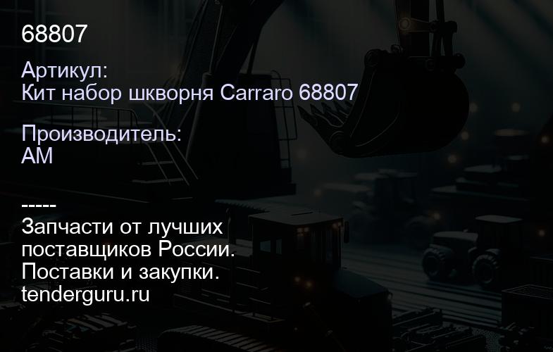Кит набор шкворня Carraro 68807 68807 | купить запчасти